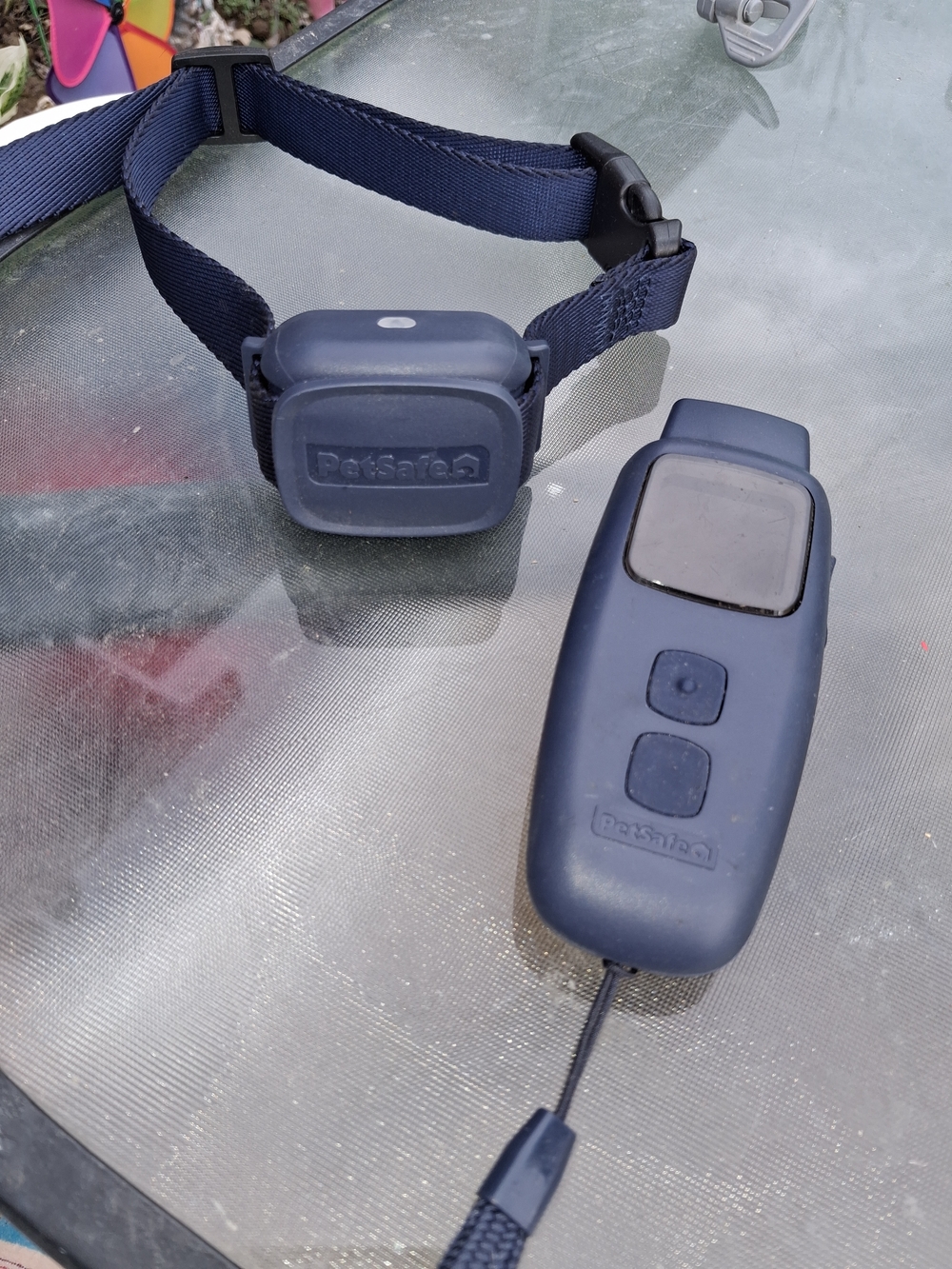 PetSafe Navy Blue Remote Training Collar and Handheld